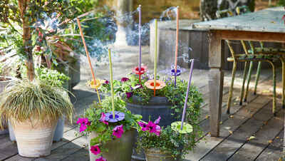 Garden ideas for little money