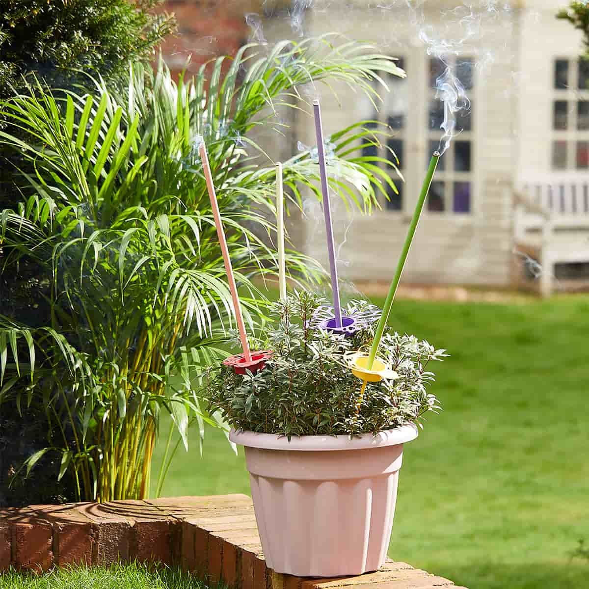 Sm22 p91309  p92470  p93024  p93466 1 2