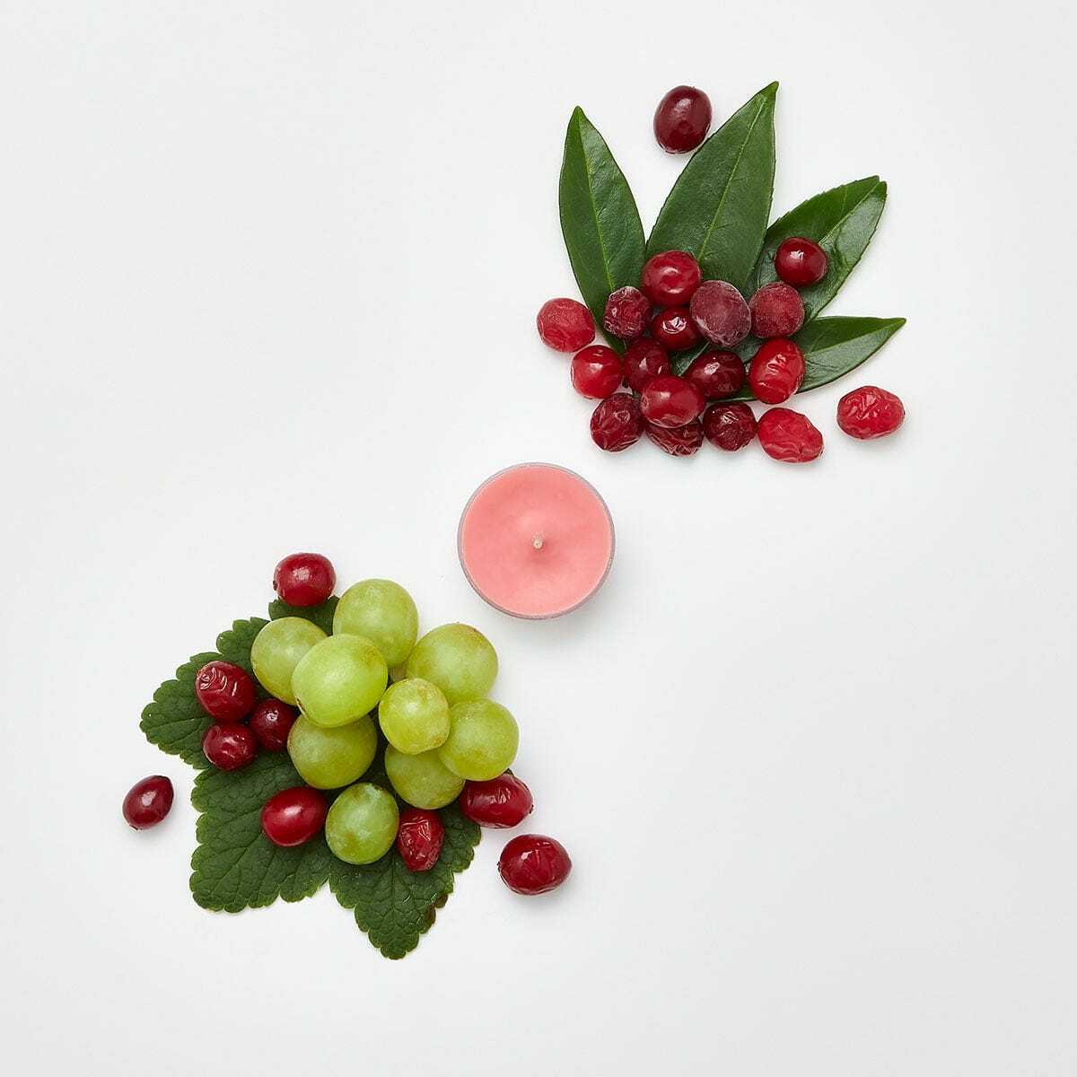 Fh21 cranberryprosecco v041098 a