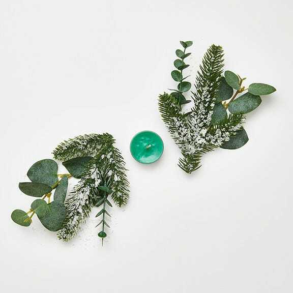 Fh21 evergreenfir v041104 a