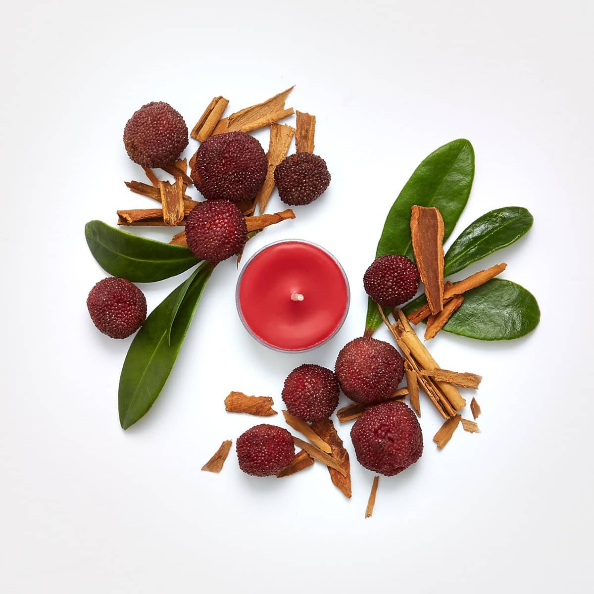 Fh21 cinnamon bayberry v04199e a