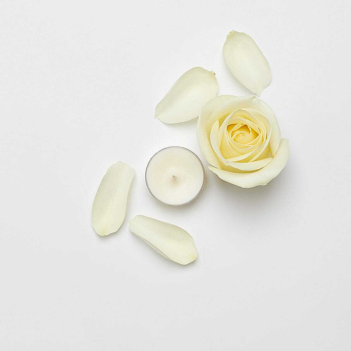 Sm21 fragrance v042026 a