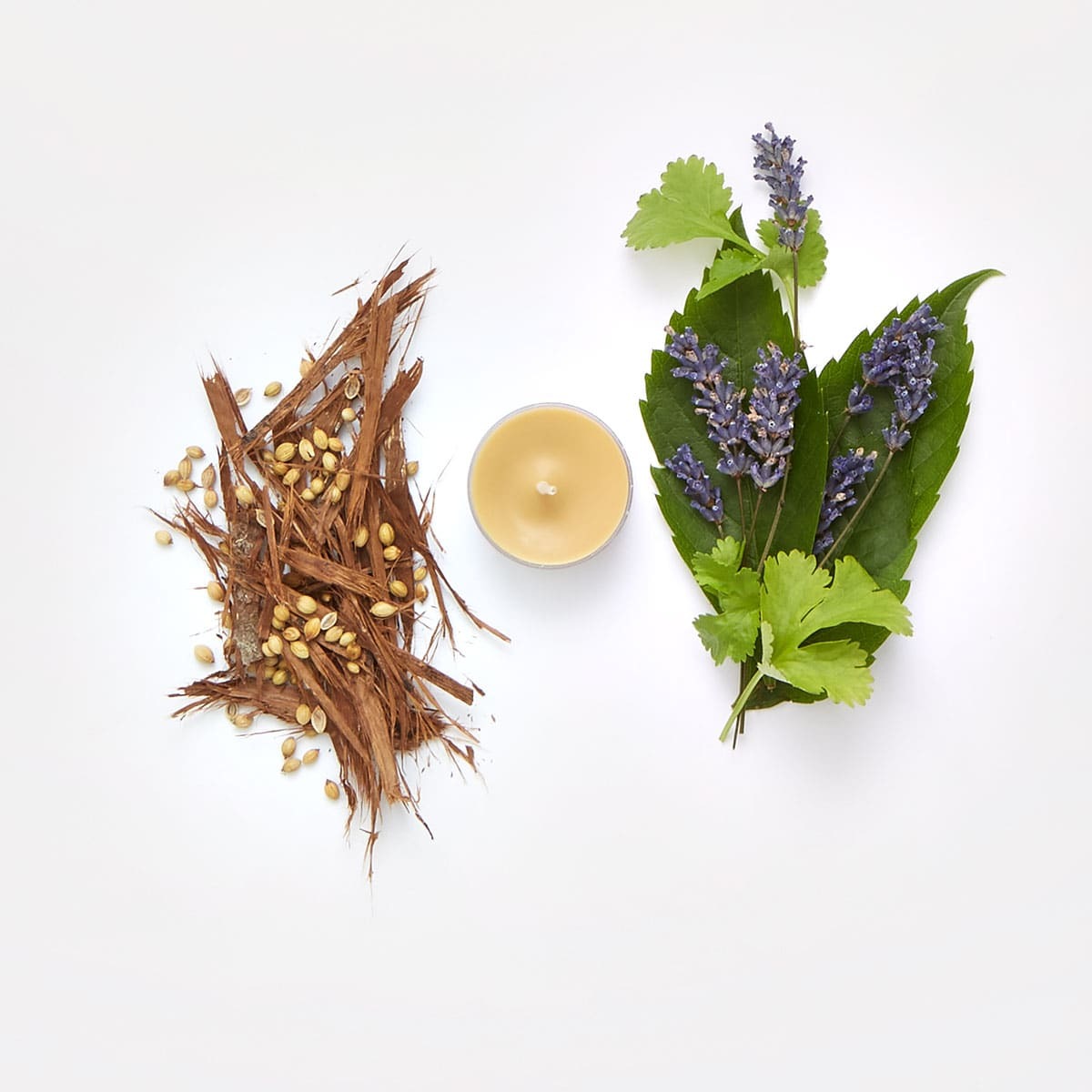 Fh21 cedarpatchouli v04423 a