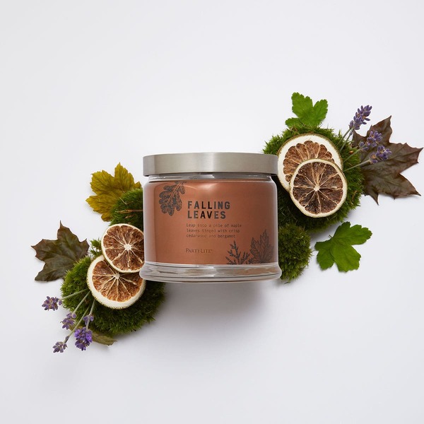 Fh22 fallingleaves g73f2043 a s7