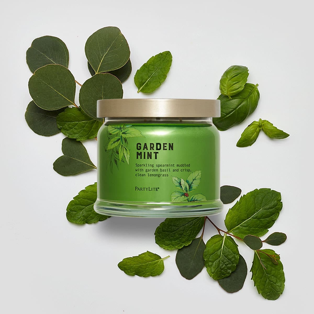 Sp23 gardenmint g73f1004q 2