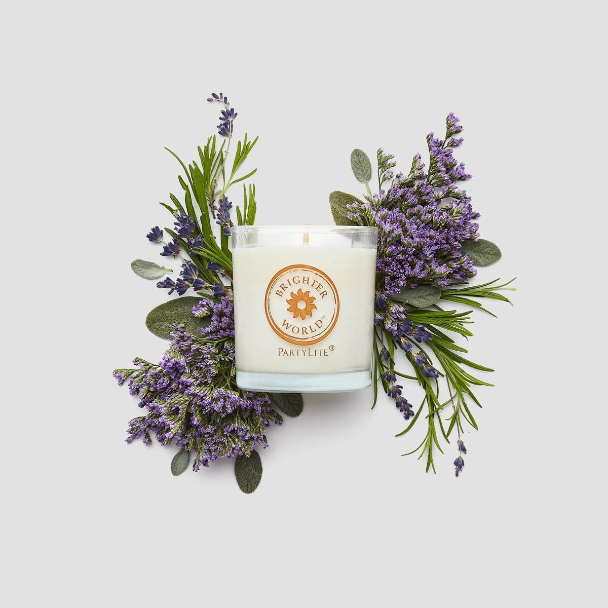  3 fh23 lavender verbena g105278 a