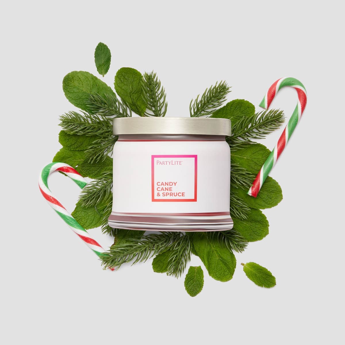  2 fh23 candy cane   spruce g73h2083 a