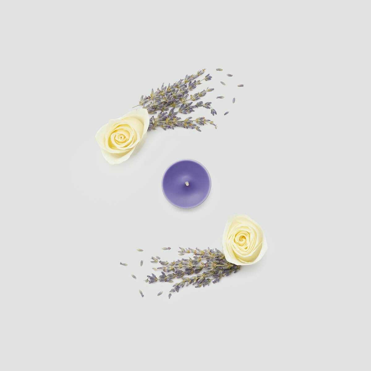  3 fh23 twilight lavender v042084 a 1