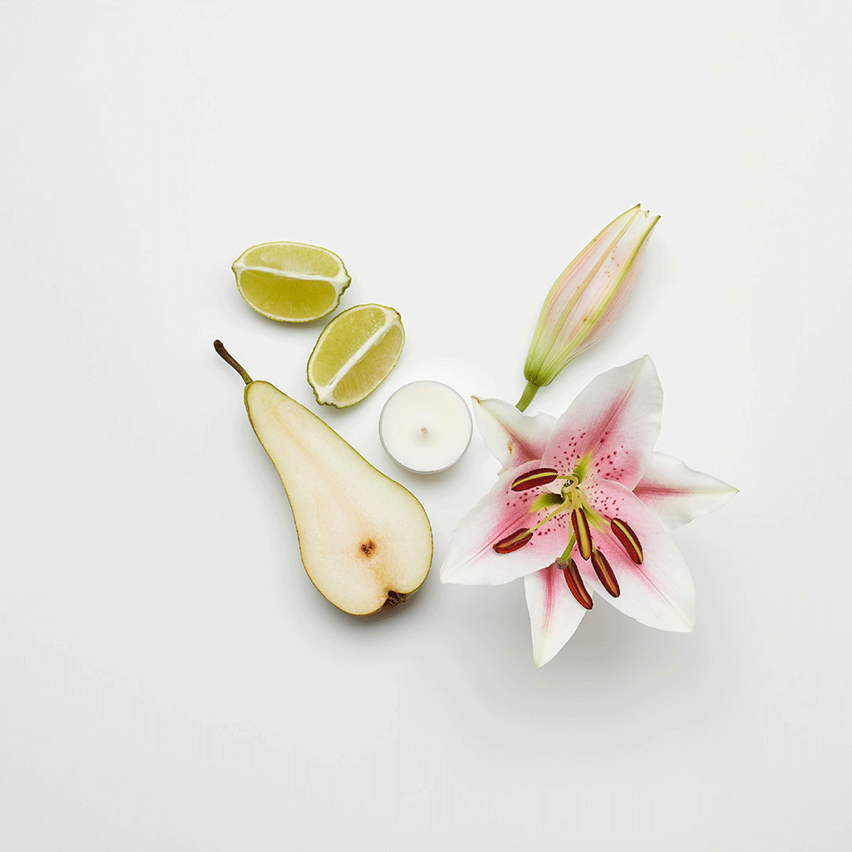 Sp21 fragrance v041083 a