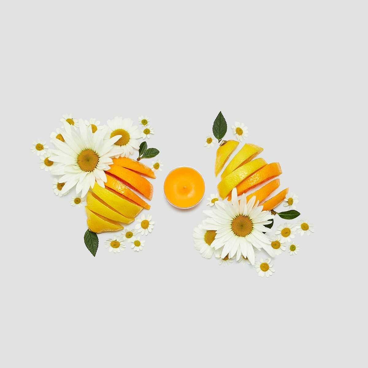 3 sp24 sweet citrus daisy v042097 a