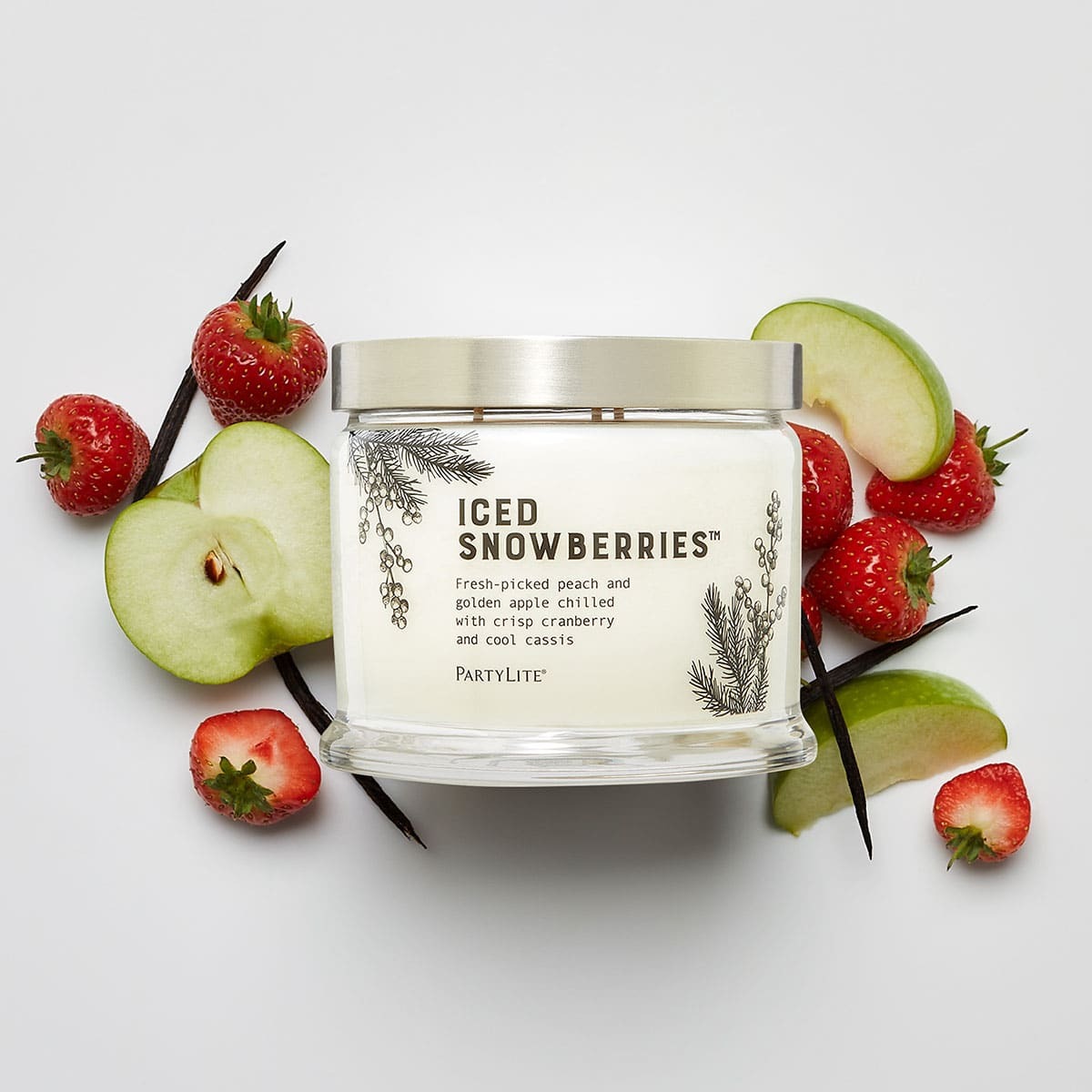 Fh22 icedsnowberries g73f123 2
