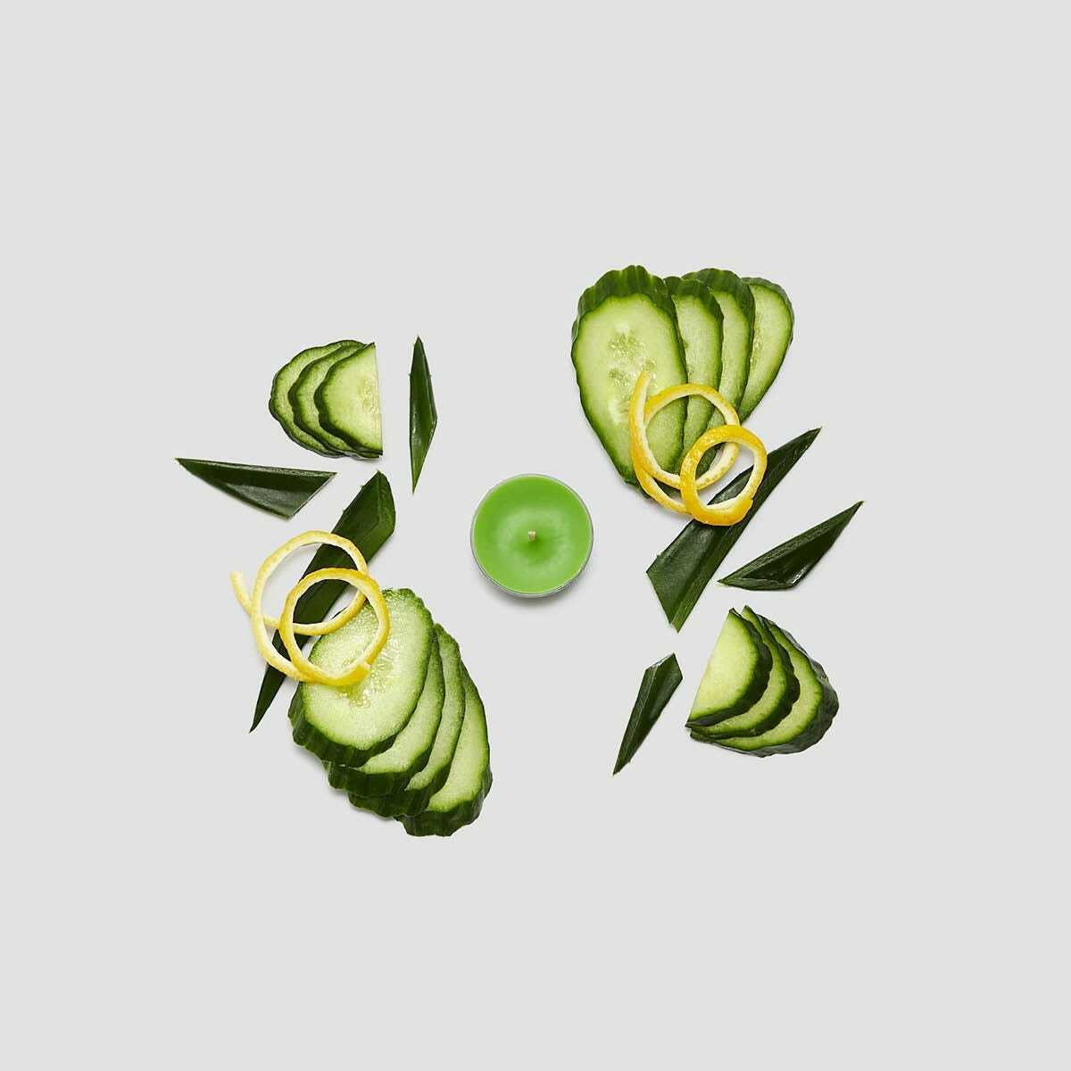 3 sp24 cucumber aloe v042100 a