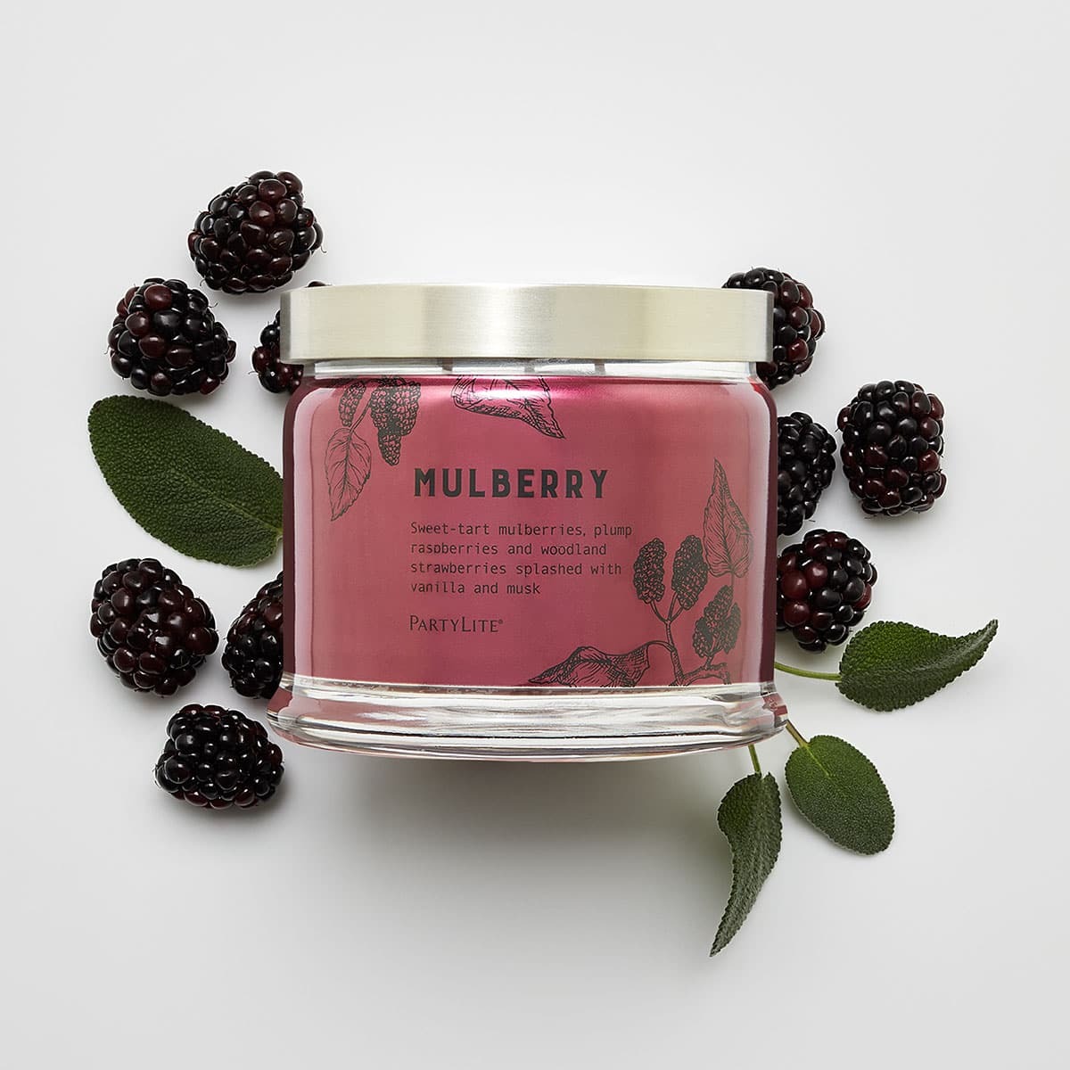 Fh22 mulberry g73f29q 2