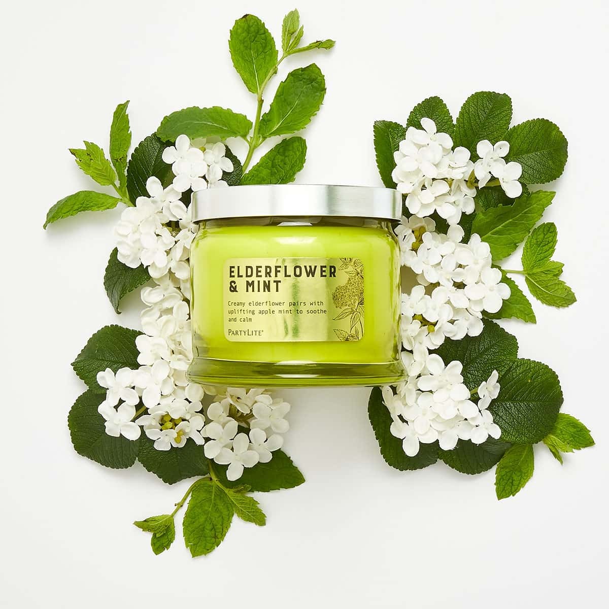 Fh21 elderflowerandmint g73s2028 a