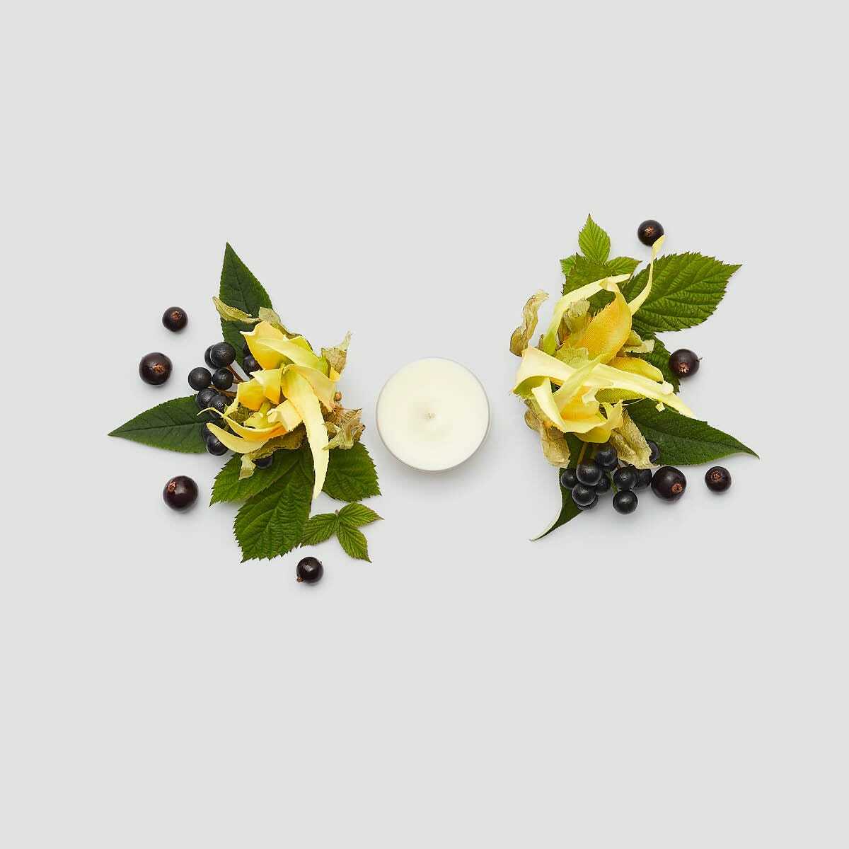 3 fh23 ylang ylang black currant v04s315 a