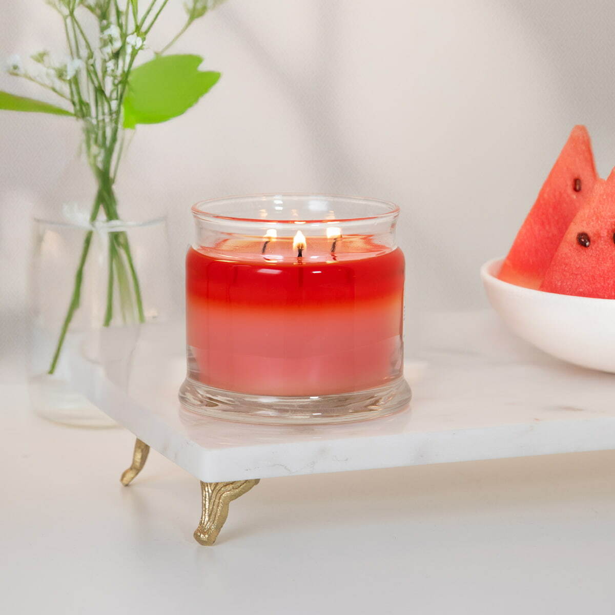 G73ns2103 watermelon 2