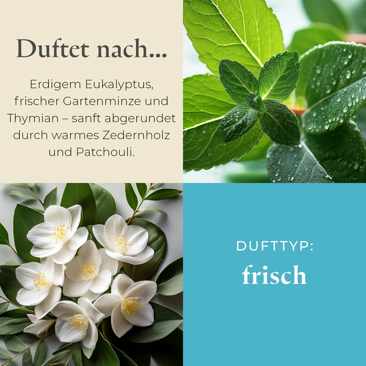 Pl az productimages g73 farmfreshherbs ger 3