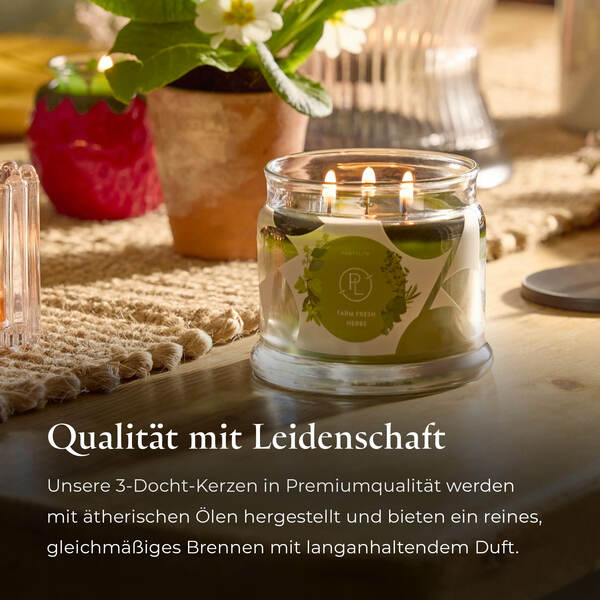 Pl az productimages g73 farmfreshherbs ger 5