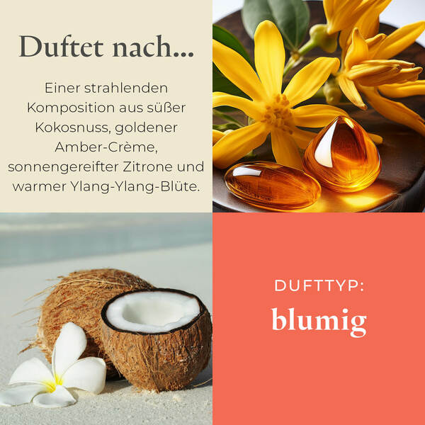 Pl az productimages g73 coastalamber shea ger 3