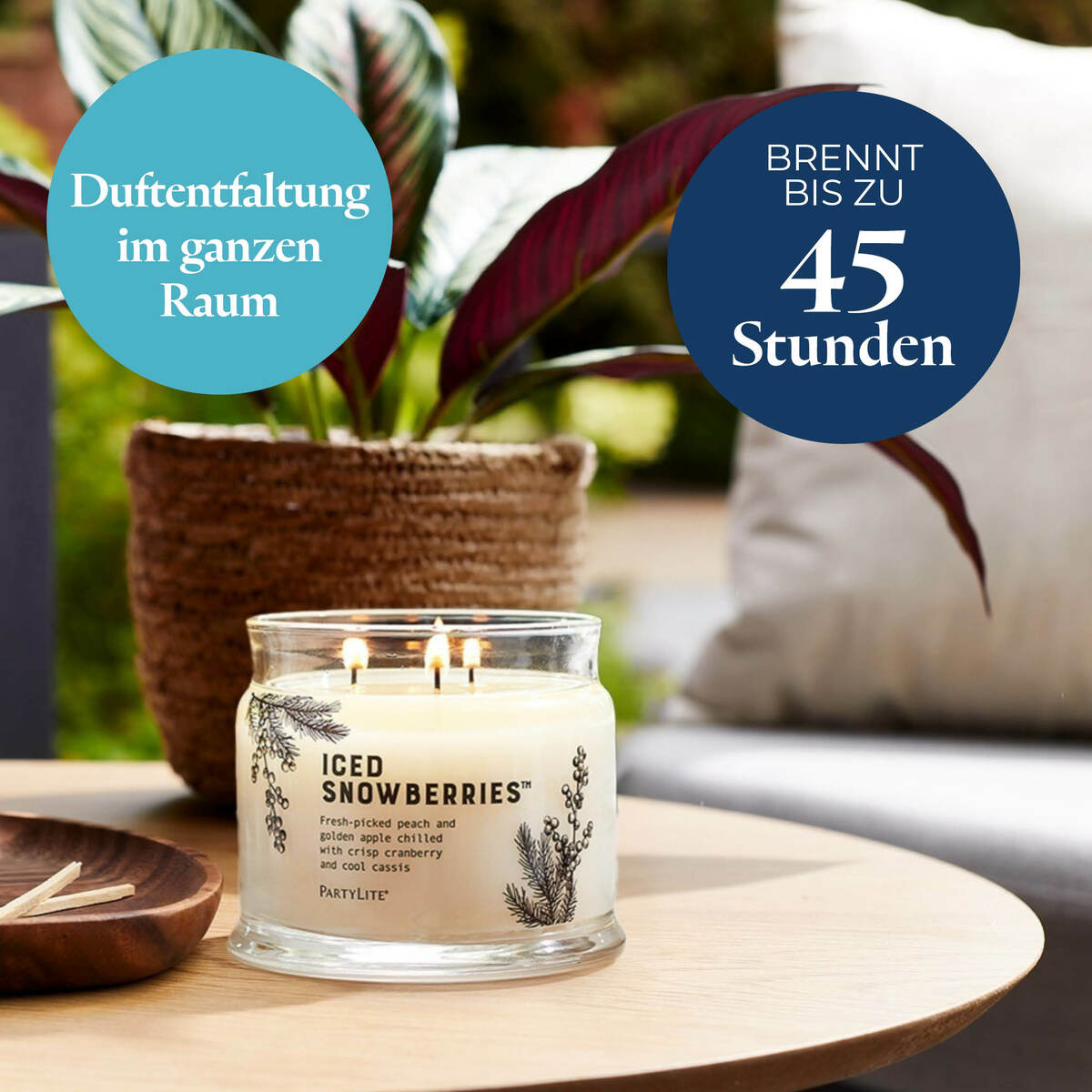 Pl az productimages g73 icedsnowberries ger 4