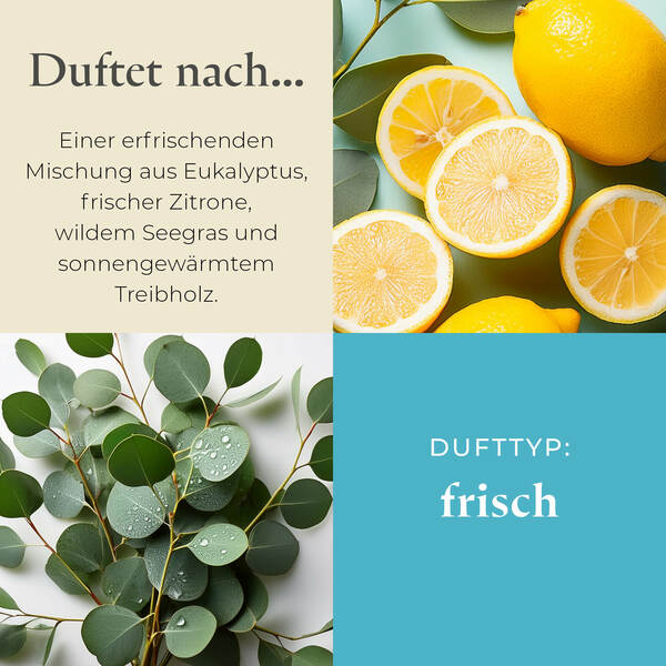 Pl az productimages g73 seagrasseucalyptus ger 3