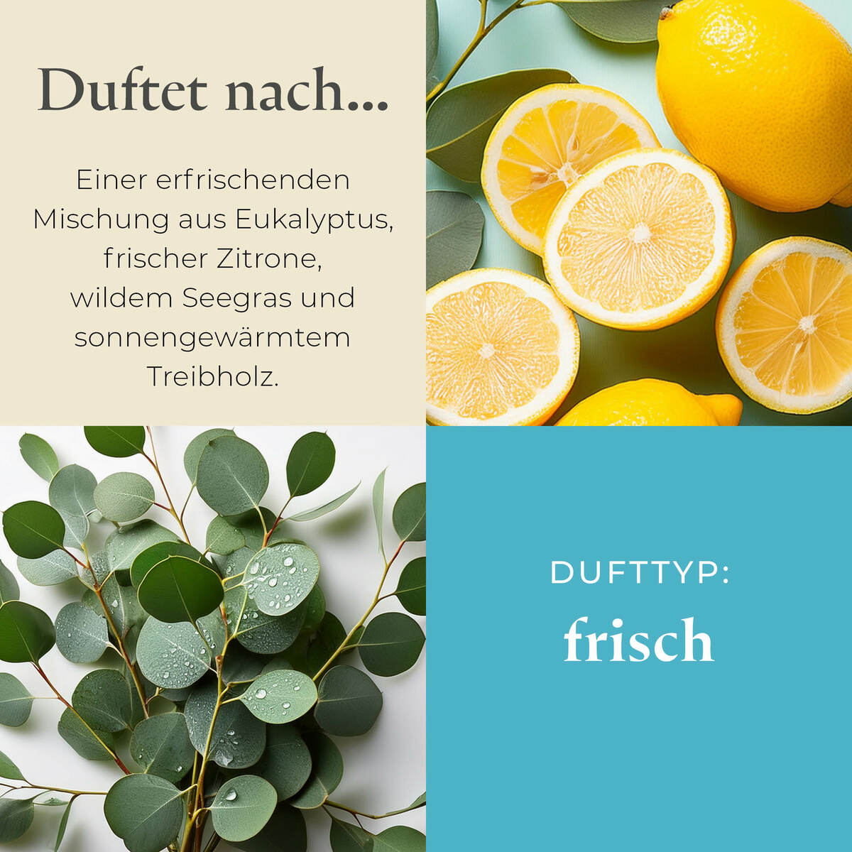 Pl az productimages g73 seagrasseucalyptus ger 3