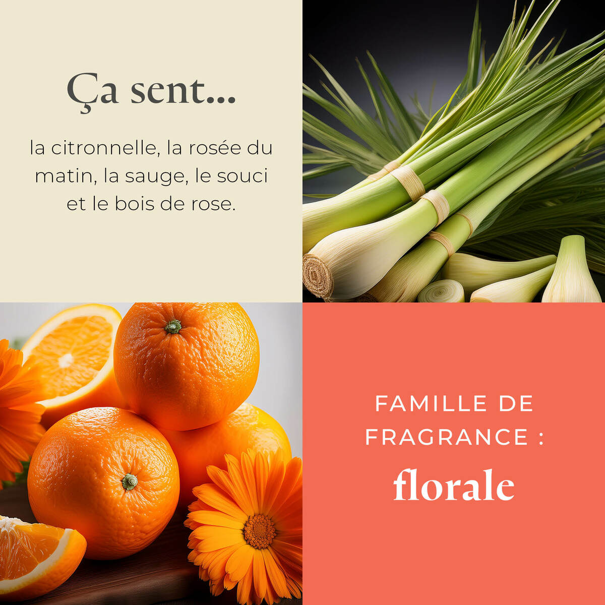 Pl az productimages g73 wildsagerosewood fr3