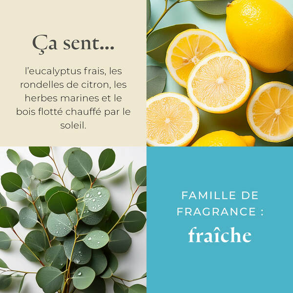 Pl az productimages g73 seagrasseucalyptus fr3