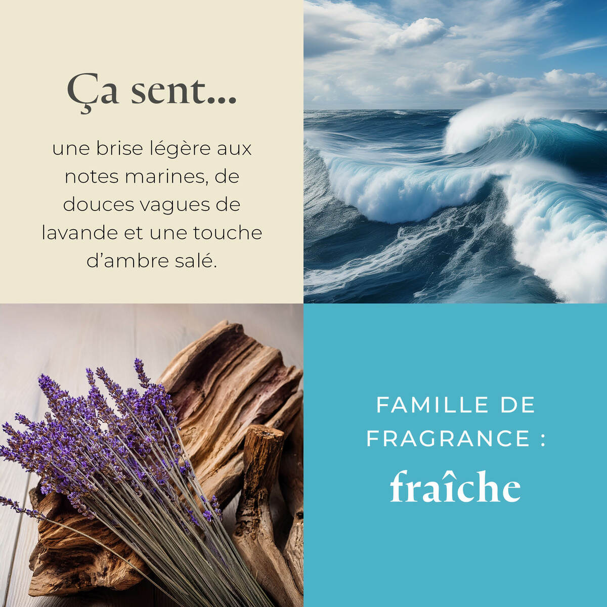 Pl az productimages g73 oceanlavender fr3