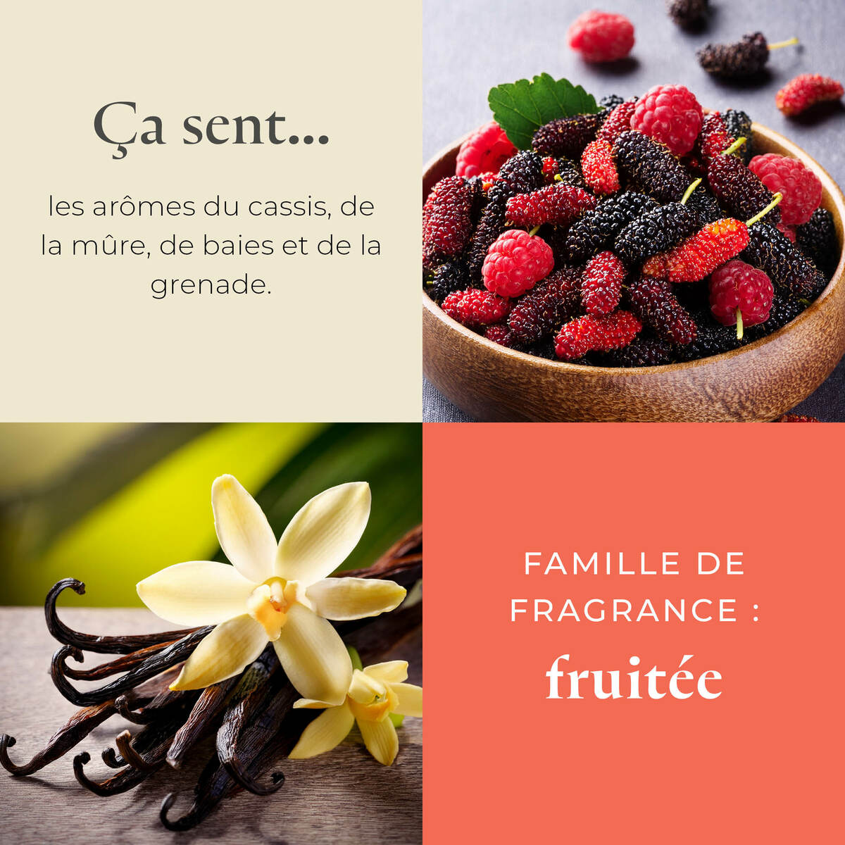 Pl az productimages g73 mulberry fr3