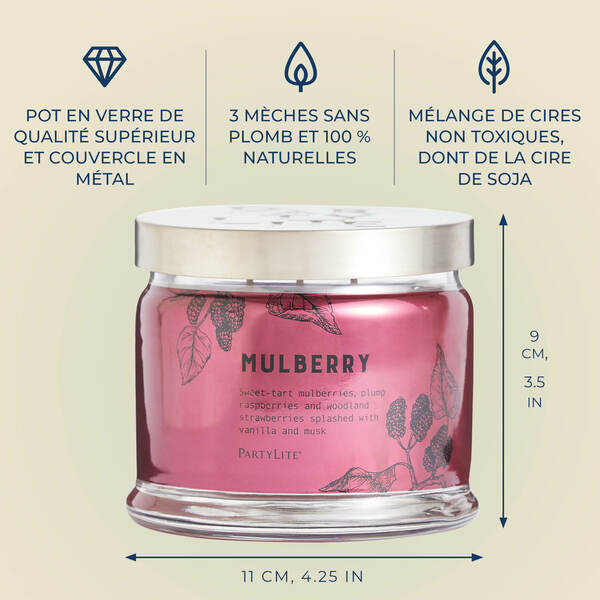 Pl az productimages g73 mulberry fr6