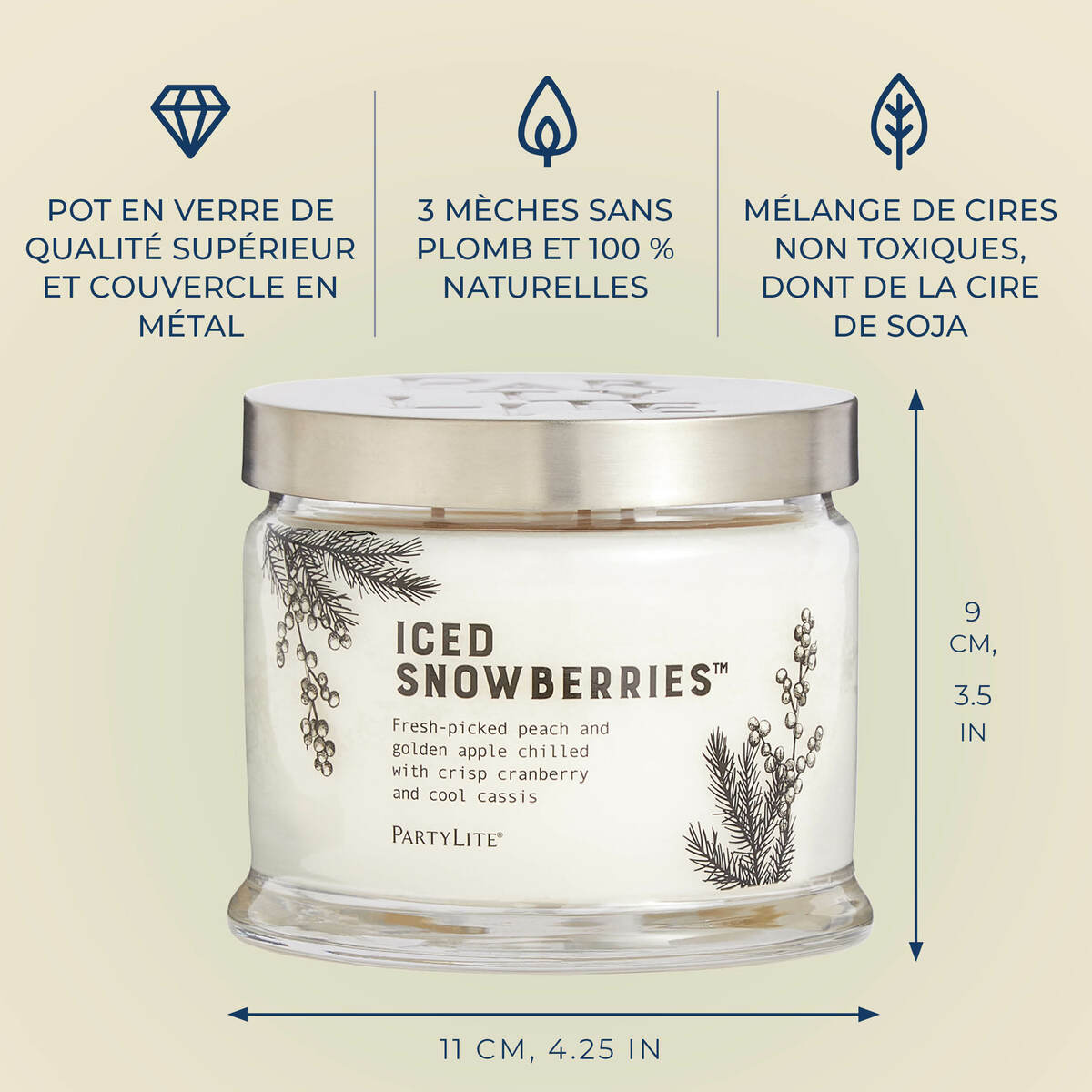 Pl az productimages g73 icedsnowberries fr6