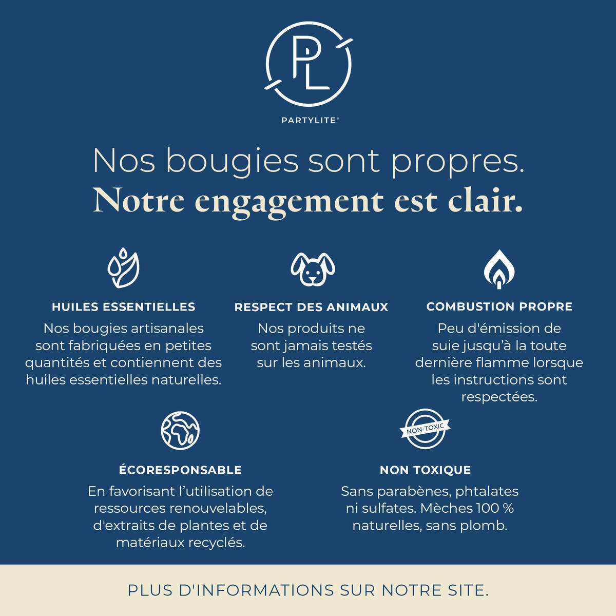 Pl az productimages g73 icedsnowberries fr7