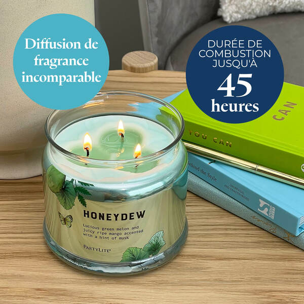 Pl az productimages g73 honeydew fr4