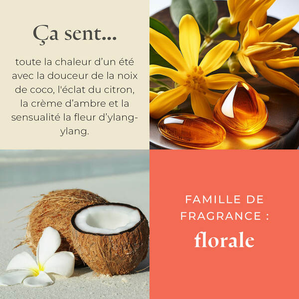 Pl az productimages g73 coastalamber shea fr3