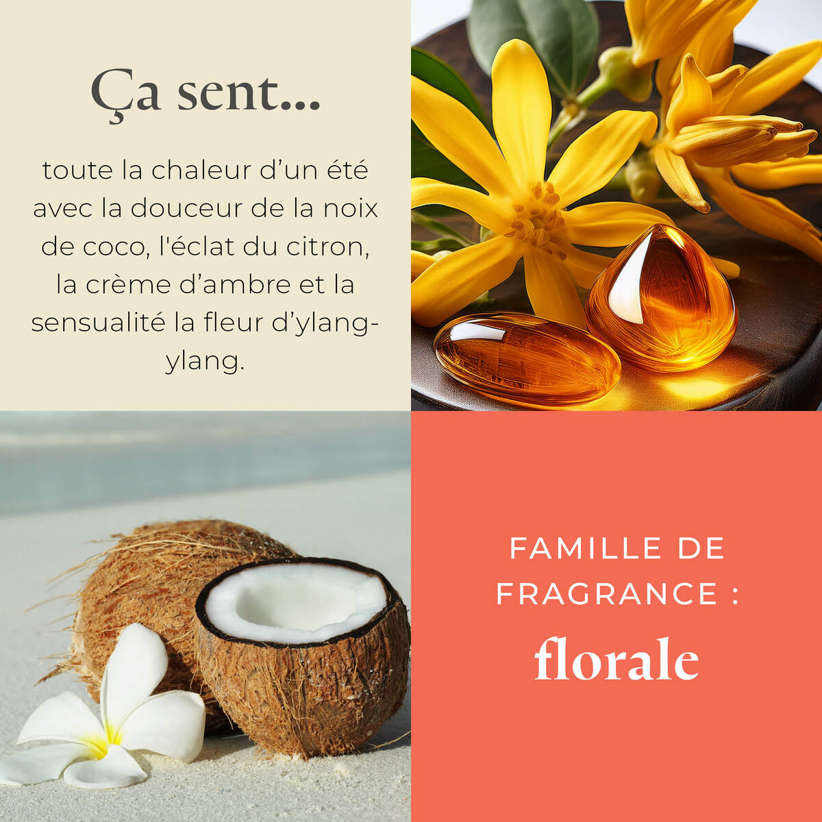 Pl az productimages g73 coastalamber shea fr3