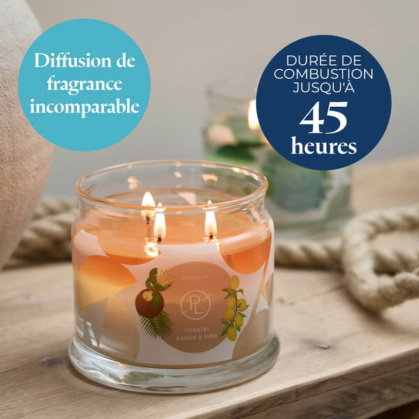 Pl az productimages g73 coastalamber shea fr4