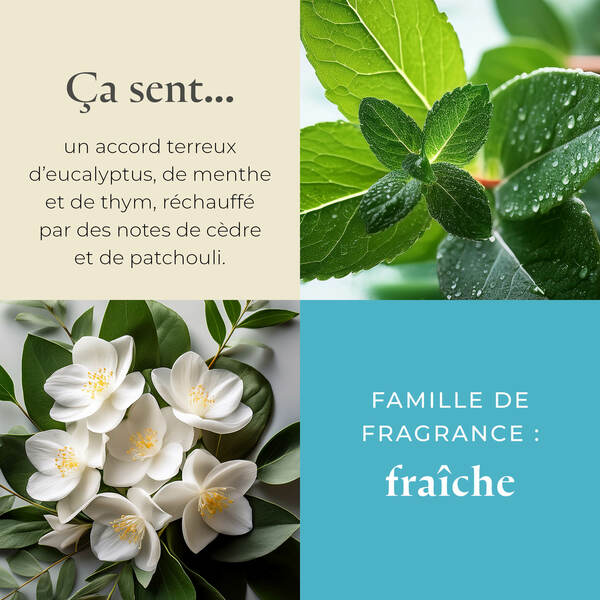 Pl az productimages g73 farmfreshherbs fr3