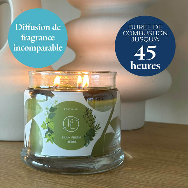 Pl az productimages g73 farmfreshherbs fr4