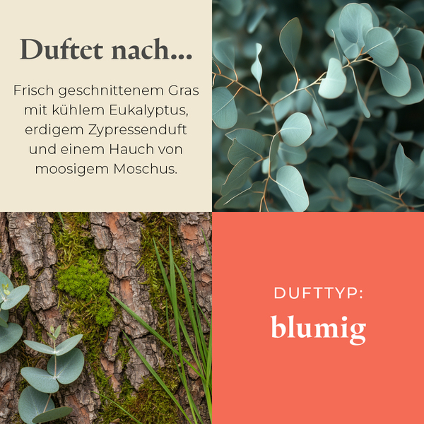 Pl az productimages sunlitgreenhouse heartmelts ger 3