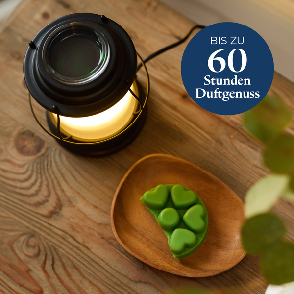 Pl az productimages sunlitgreenhouse heartmelts ger 5