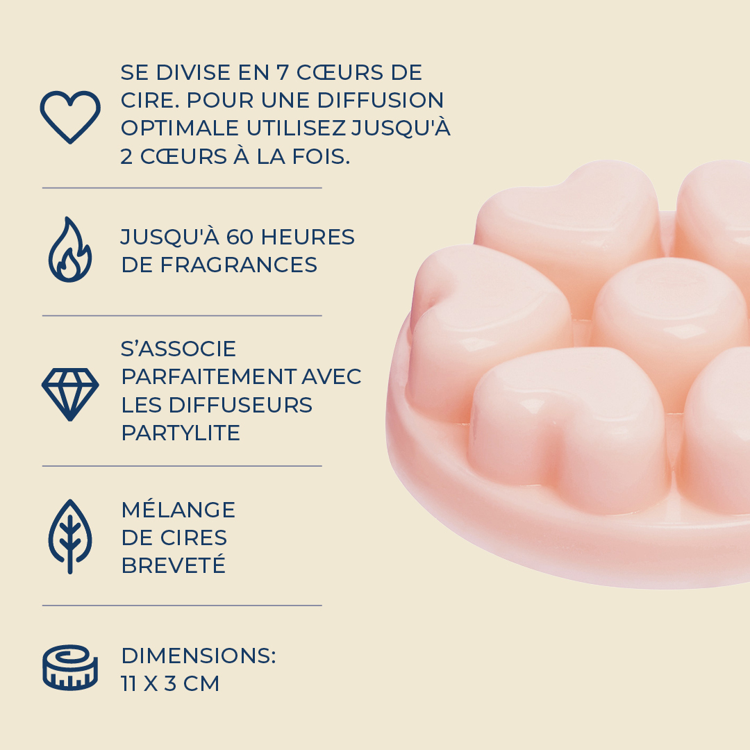 Pl az productimages sunsetgingerrose heartmelts fr 4