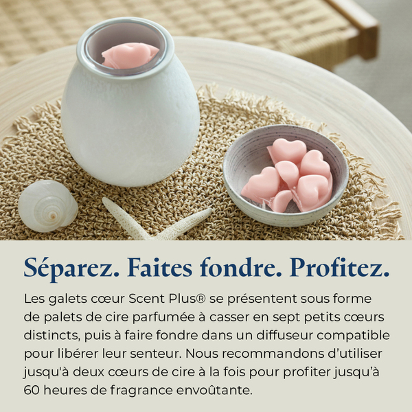 Pl az productimages sunsetgingerrose heartmelts fr 6