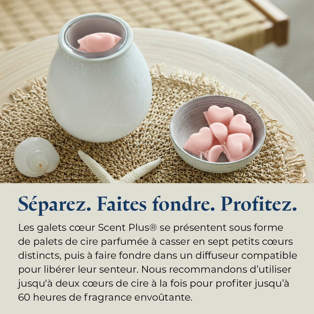 Pl az productimages sunsetgingerrose heartmelts fr 6