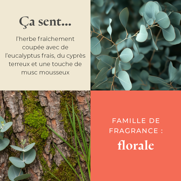 Pl az productimages sunlitgreenhouse heartmelts fr 3