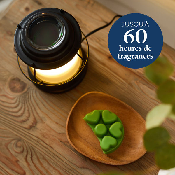 Pl az productimages sunlitgreenhouse heartmelts fr 5