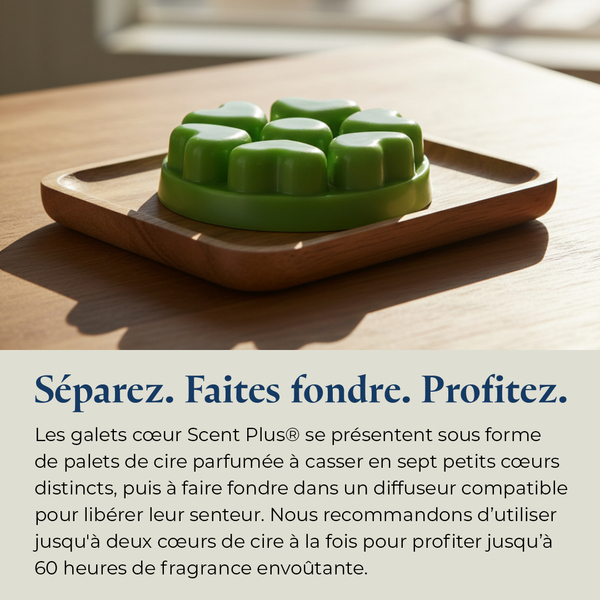 Pl az productimages sunlitgreenhouse heartmelts fr 6