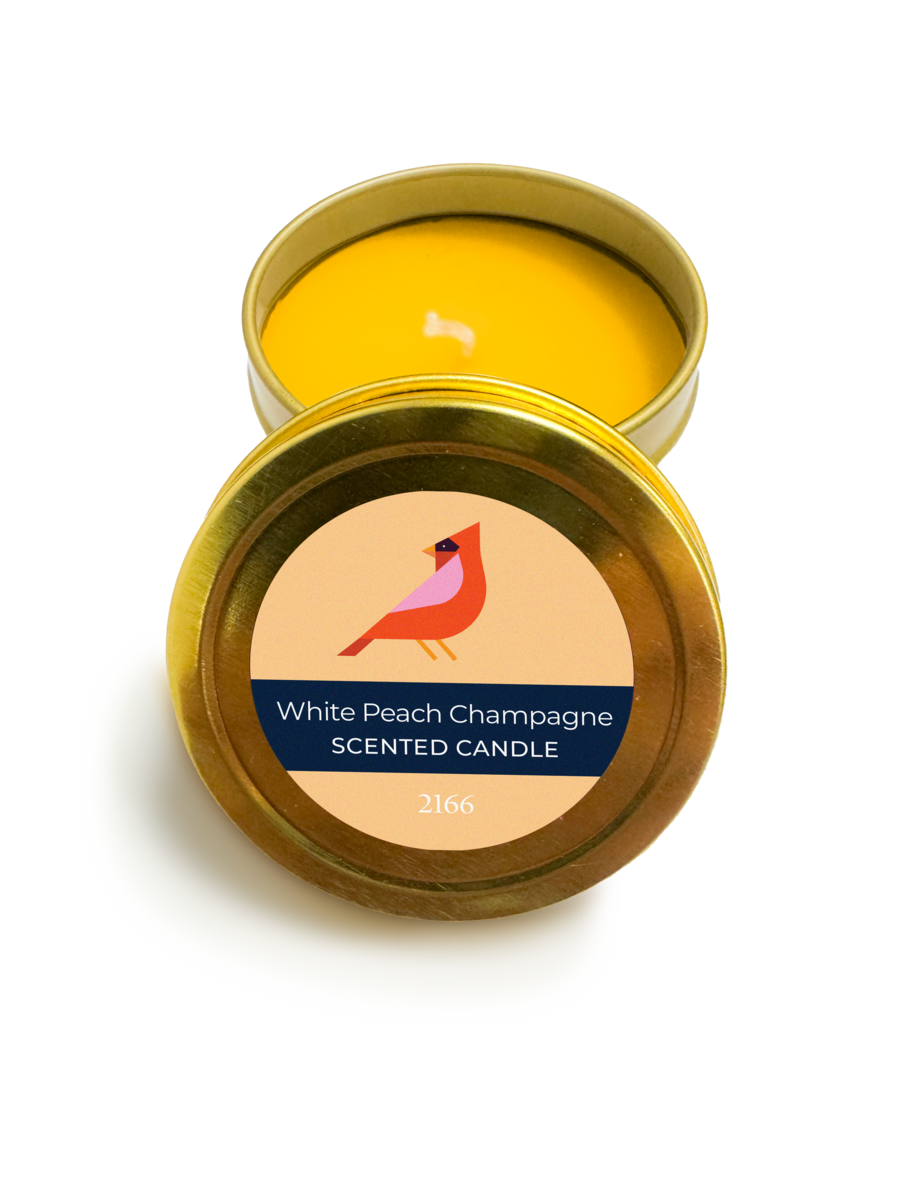 Advent calendar tins ct2166b