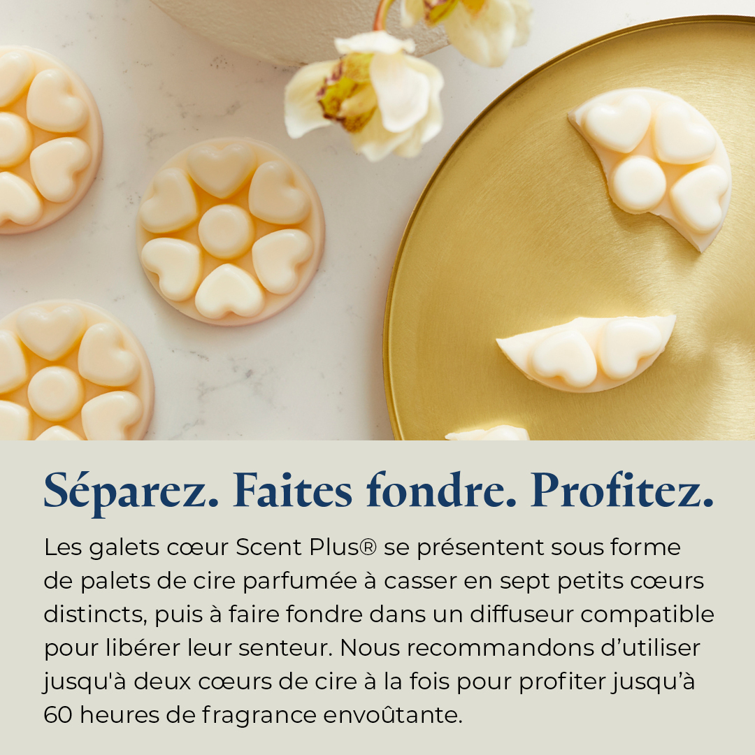 Pl az productimages marshmallowvanilla heartmelts fr 6