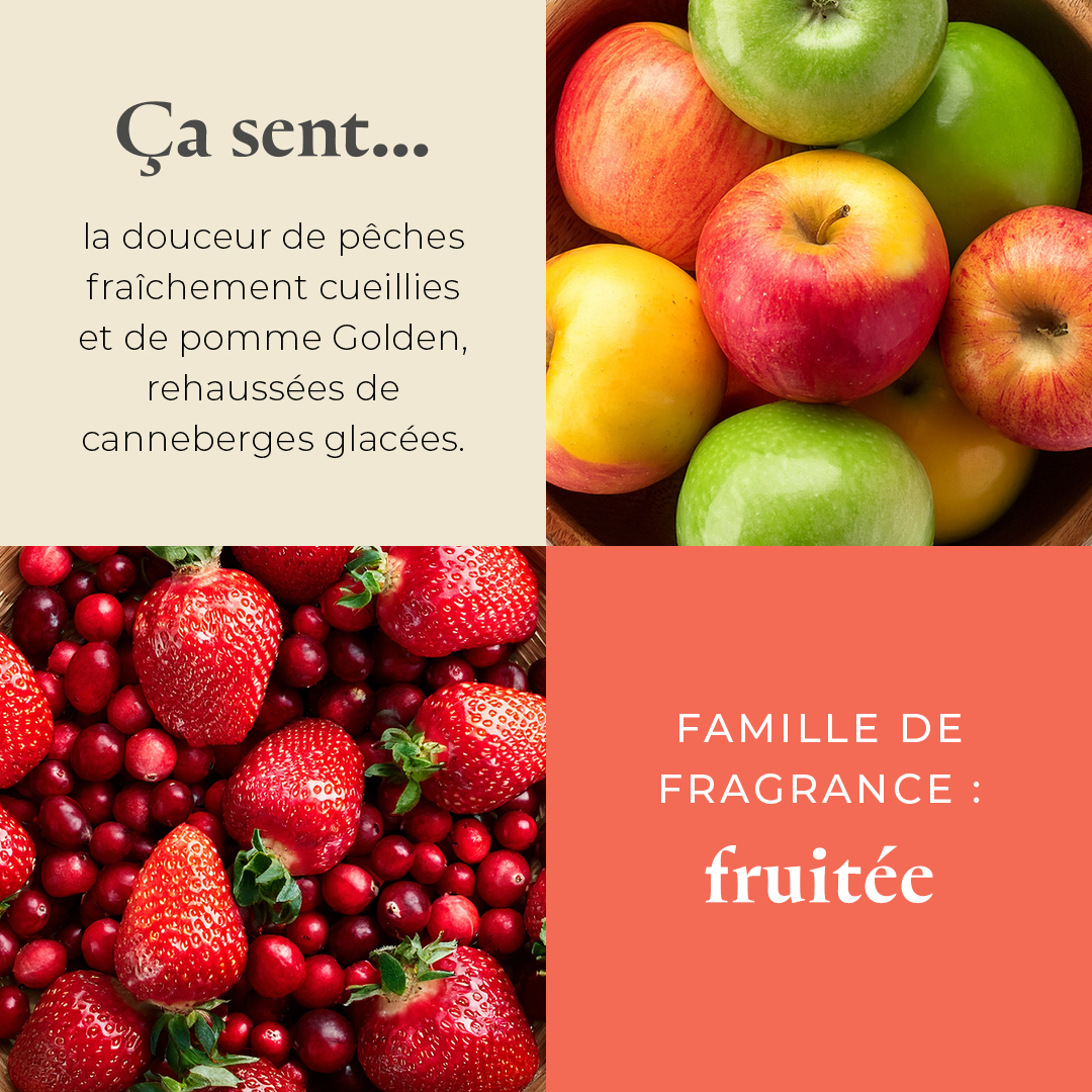 Pl az productimages icedsnowberries heartmelts fr 3